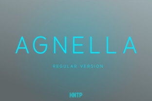 Agnella Font Review: Elegant Sans Serif Strength