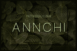 Annchi Typeface Review for Modern Branding