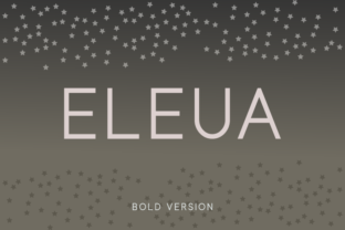 Eleua Bold: A Clean Sans Serif Typeface for Editorial Design