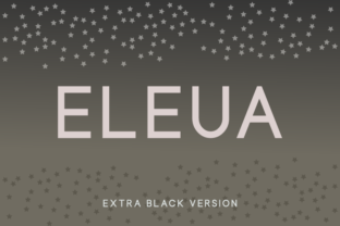 Eleua Extra Black Font for Bold Business Branding