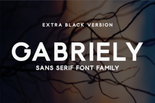 Gabriely Extra Black Typeface for Bold Craft Designs