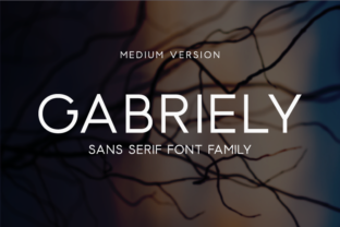 Gabriely Medium: A Modern Sans Serif Typeface for Web Design