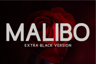 Malibo Extra Black Typeface for Bold Campaigns