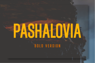 Pashalovia Bold: The Typeface for Clear Campaign Impact
