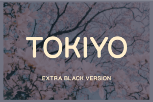 Tokiyo Extra Black Font for Modern Web Design